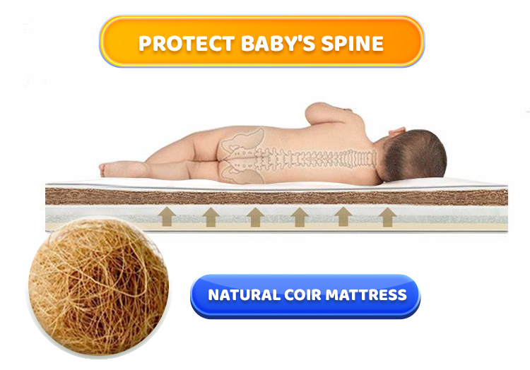 protect baby spine